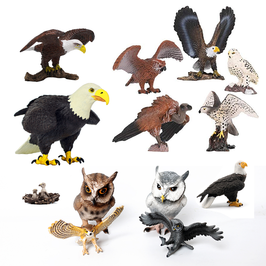 Kids Education Shows - Plastik realistis burung dari patung-patung pemangsa
